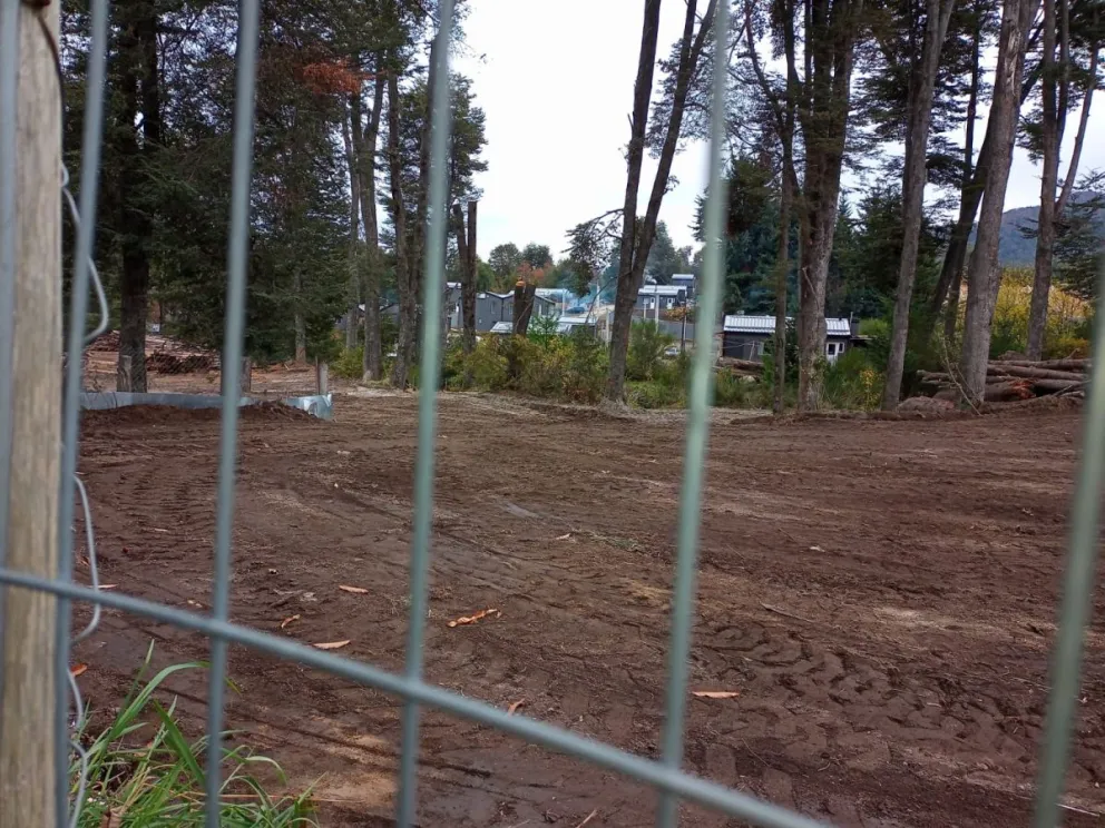 Vecinos de Las Piedritas preocupados por un “volteo indiscriminado de árboles”