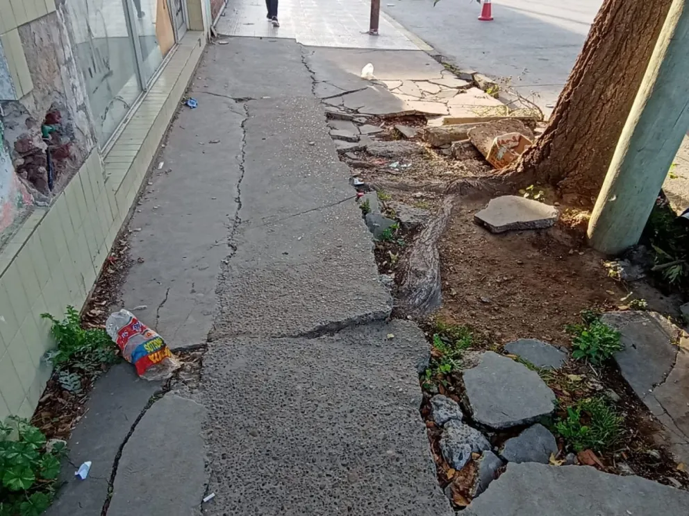 Hay plazo para repararlas.