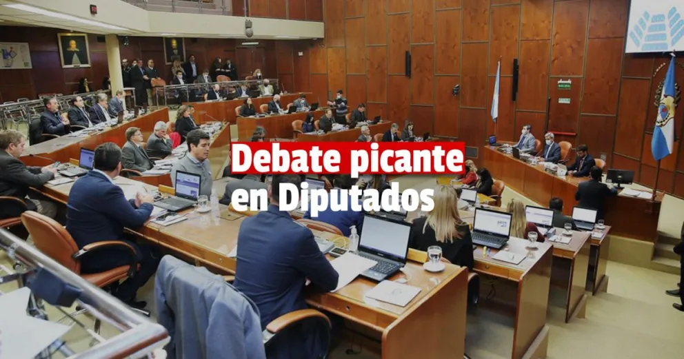 Cámara de Diputados: se modificó un artículo de la ley de regalías mineras 	