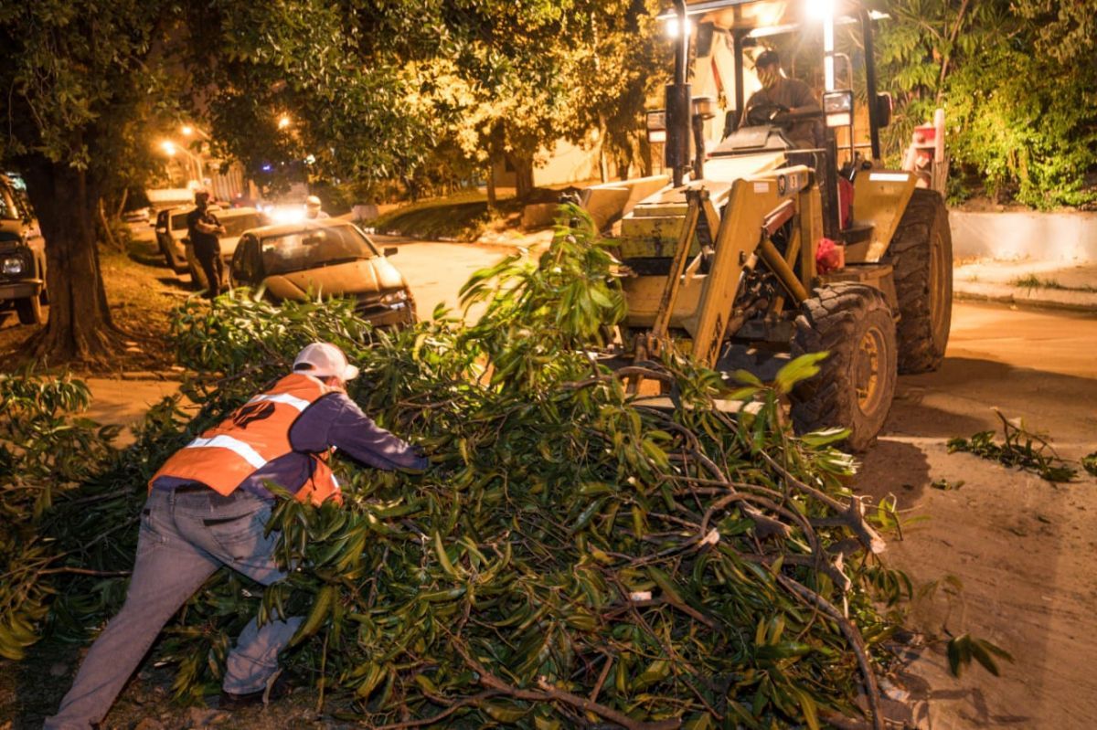 La Municipalidad realizó tareas de recolección de residuos en diversos sectores del ejido urbano