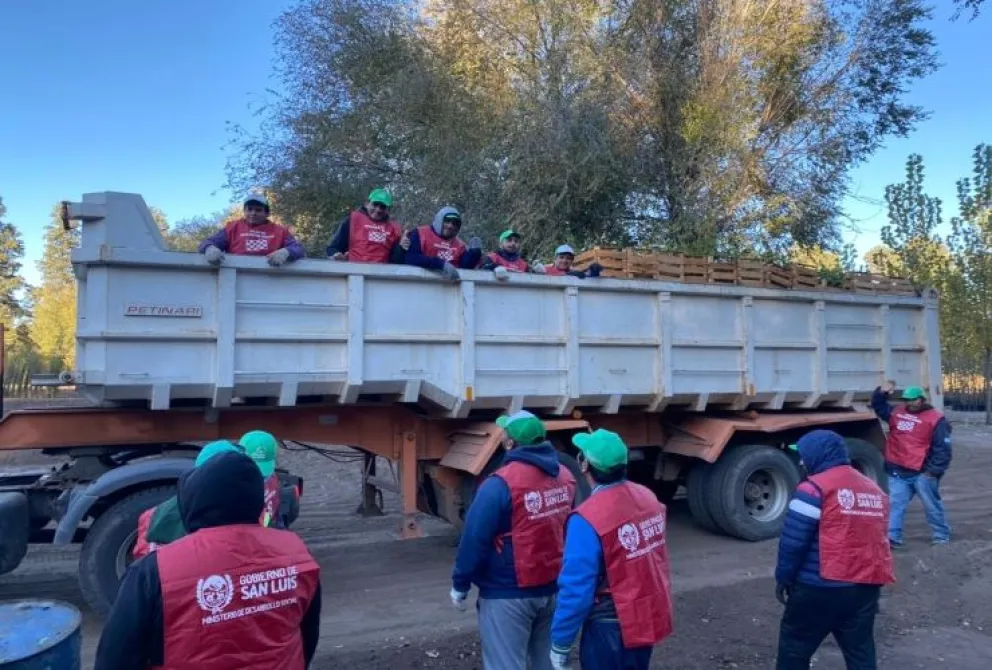 Desde Chaco, llegaron a la provincia más de 24 mil arboles