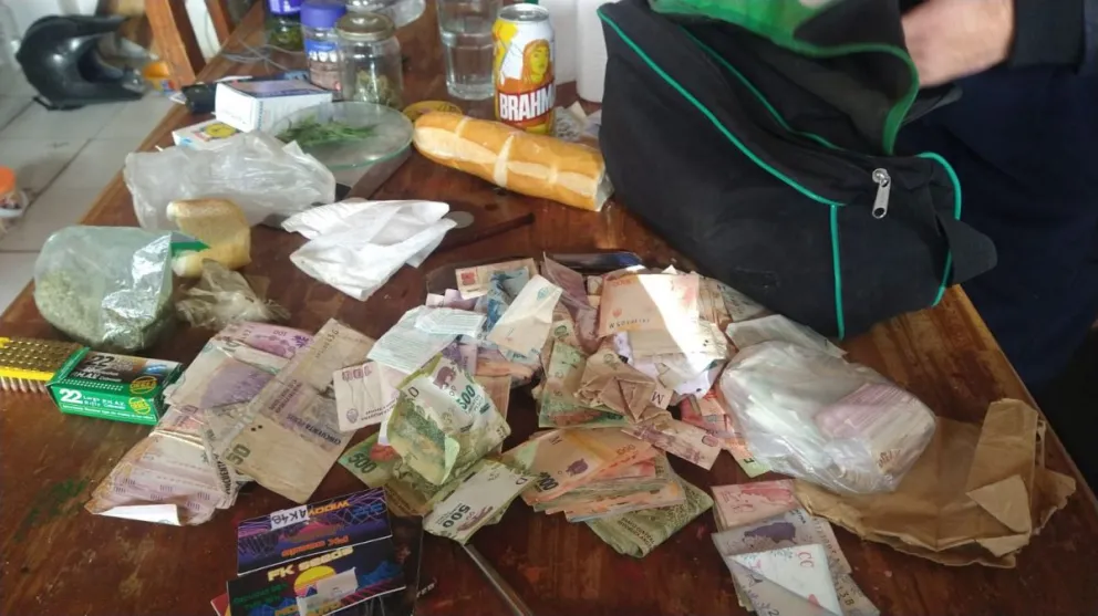 Policías fueron a un allanamiento por un robo y encontraron plantas de marihuana