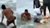 VIDEO: un hombre se tiró al mar para rescatar a un perro que se ahogaba