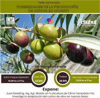 Provincia convoca a productores a participar del seminario de cultivo de olivo en Comodoro Rivadavia y Trelew