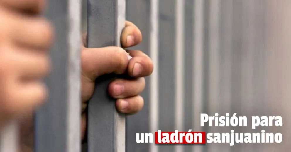 Caucete: condenaron a un ladrón que robó un bolso y escapó en remis