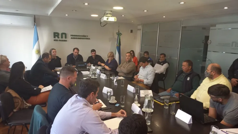 Nueva ley de Pesca: piden cuidar el recurso marítimo