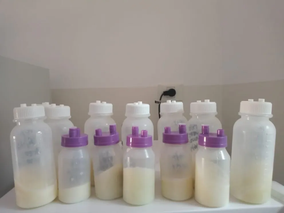 Declarado de interés por la Legislatura, el Banco de Leche del hospital de Roca procesa y distribuye leche materna destinada a bebés prematuros y en situación de vulnerabilidad en toda la provincia. Foto: archivo