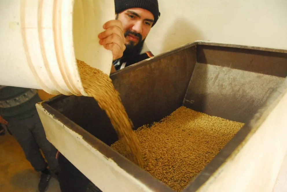 Gran encuentro de cerveceros artesanales de Viedma: hicieron un estilo en colaboración que saldrá a la venta