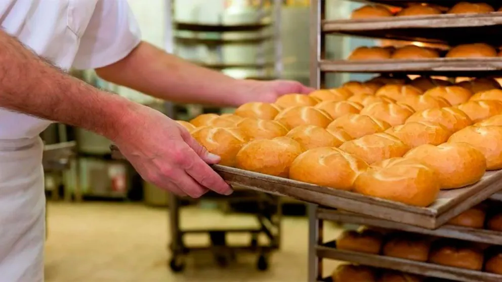 camara de panaderos de salta
