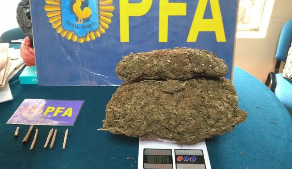 La Plata: alumnos de una escuela rural tenían un kilo de marihuana escondido en un locker
