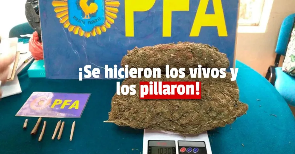 Dos alumnos plantaron marihuana en un colegio