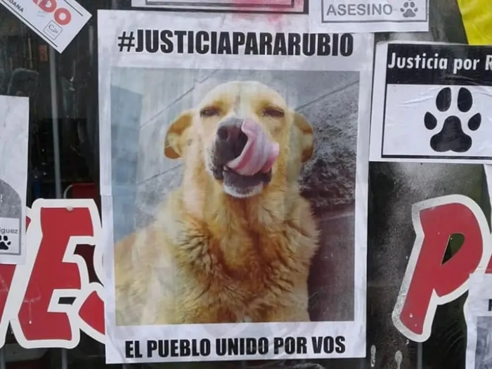 Condenaron a prisión al hombre que arrastró y mató a un perro