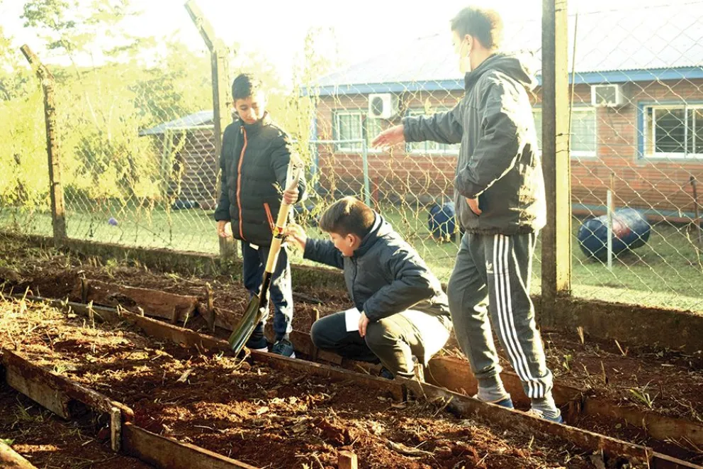 La huerta, un espacio más en el trabajo pedagógico
