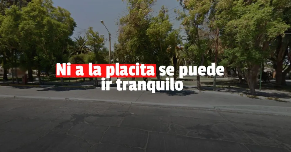 Estaba sentada en la plaza, le pegaron y le robaron