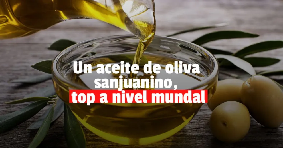Un aceite de oliva sanjuanino, entre los mejores del mundo