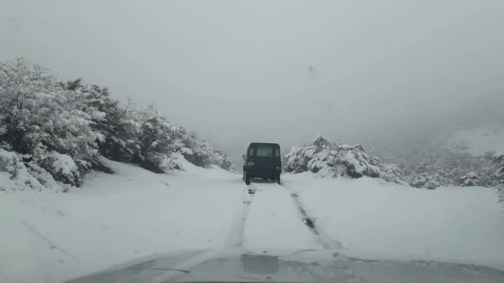 Así están los caminos y sendas dentro de los parques Nahuel Huapi y Los Arrayanes
