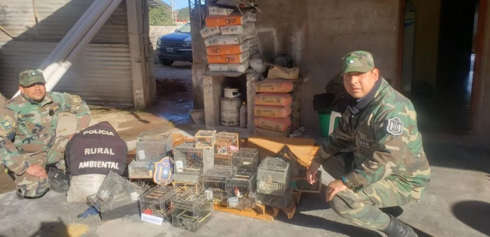 Fueron pescados infraganti por caza ilegal de animales: conocé lo que pasó