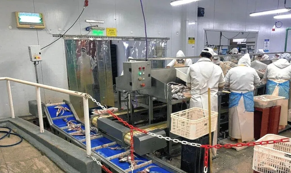 Intenso cronograma de inspecciones ambientales en la Comarca Senguer - San Jorge