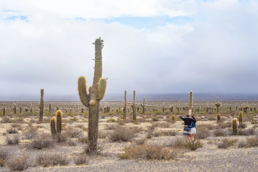  En la foto Parque Nacional Los Cardones, Salta.