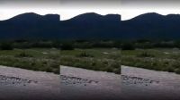 Video: Paseaba por el dique y filmó un OVNI aterrizando en el lugar