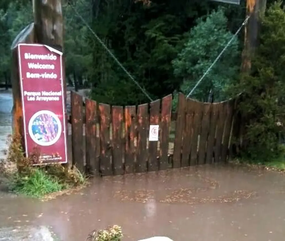 Sendero a la Península de Quetrihué está habilitado solo para peatones