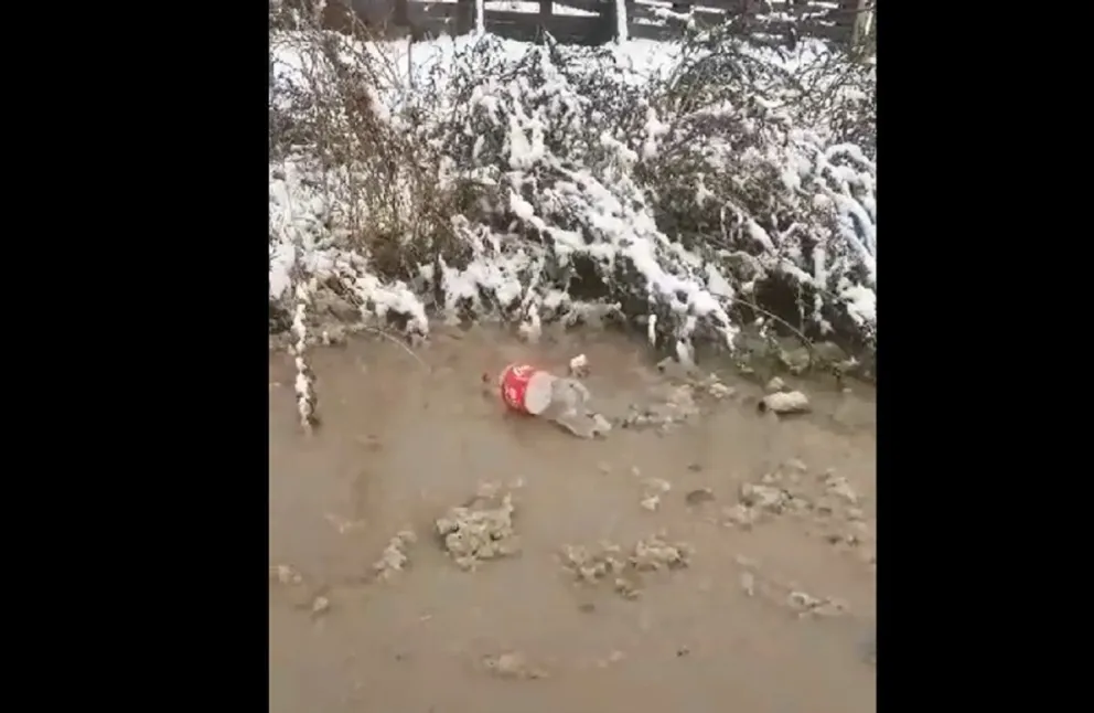 Notivideo: con las lluvias reaparece el desborde de pluviales