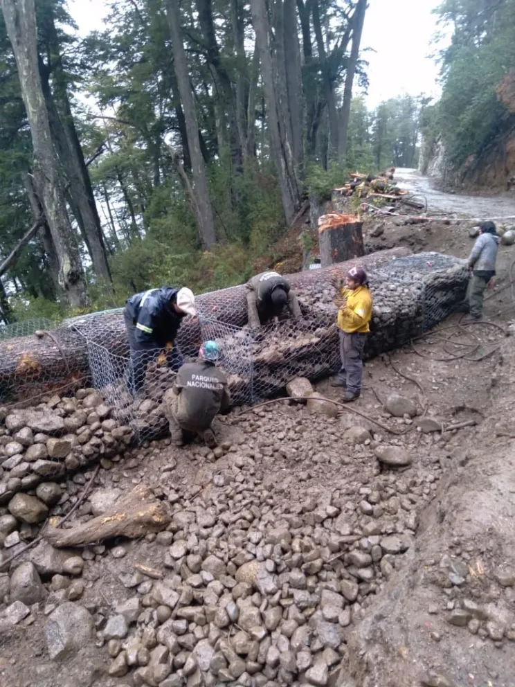 Continúa el cierre total por obras en el camino a cerro Tronador 