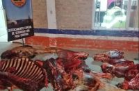 La Policía de Río Negro decomisó más de 10 mil kilos de carne