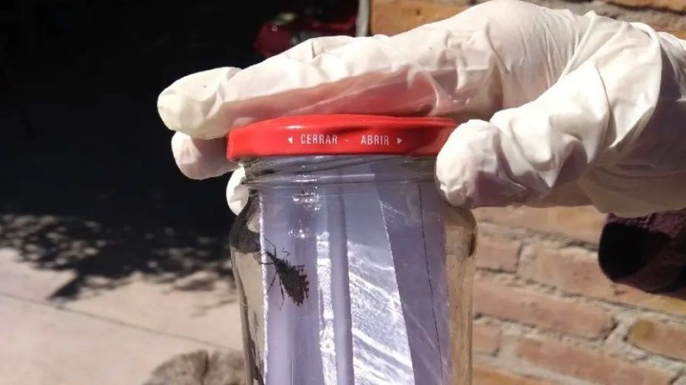Río Negro se suma al Día Nacional por una Argentina sin Chagas
