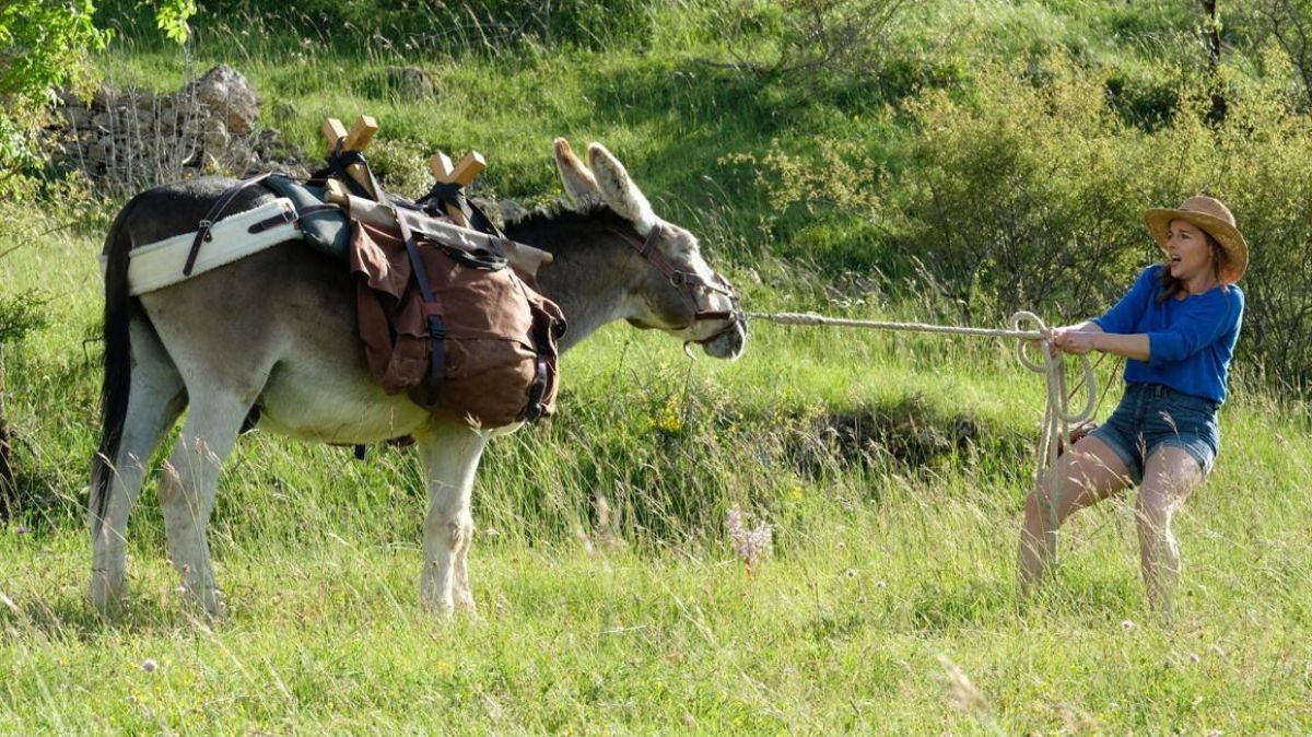 MUBI presentará en junio una programación dedidaca al cine LGBTQI+