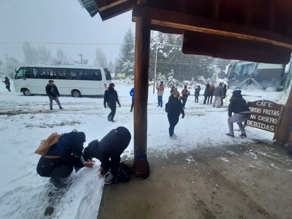 ¡Bajaron de los micros a jugar con nieve!