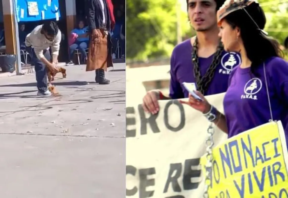 Un macabro juego encendió las alarmas de proteccionistas animales: "Vamos a ir contra responsables directos"