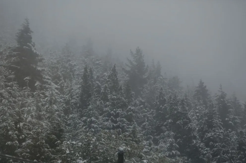 El Parque Nacional Nahuel Huapi advierte por posibles nevadas intensas y lluvias en la región