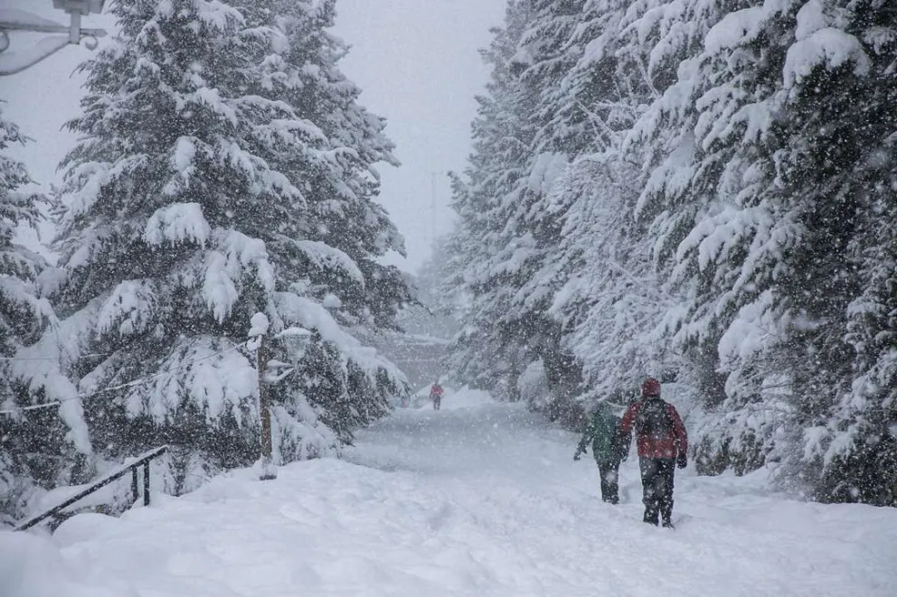 Pronóstico en Bariloche