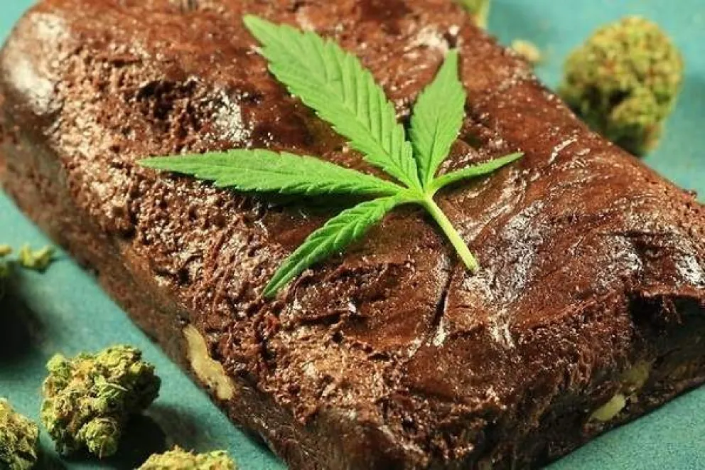 Llevó “brownies locos” al trabajo y terminaron todos intoxicados