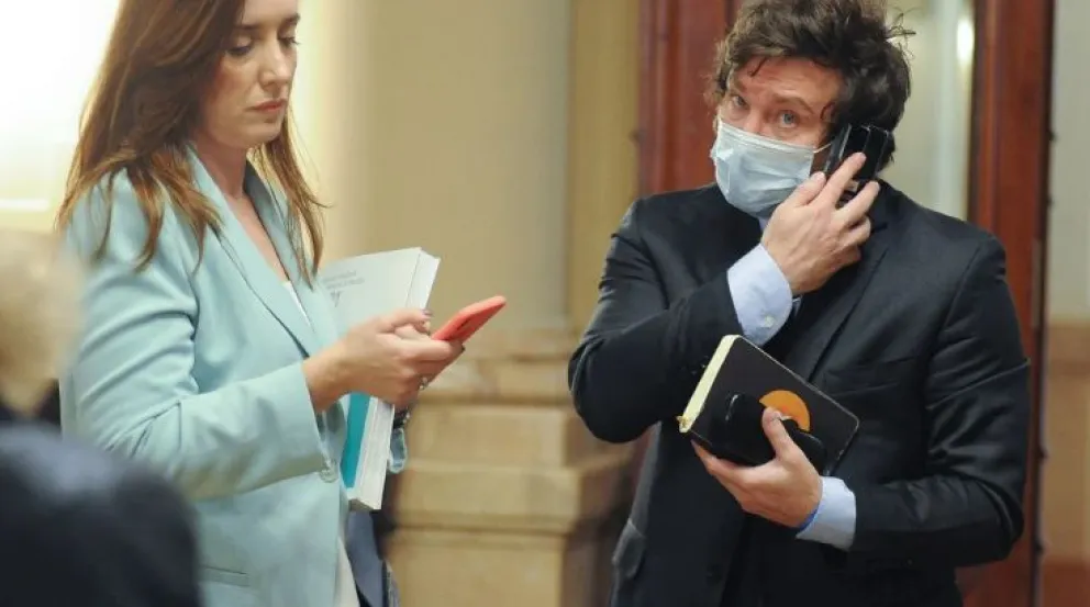 Polémica: Javier Milei y Victoria Villarruel habrían usado 22 pasajes de avión a cuenta del Congreso para ir a actos partidarios 