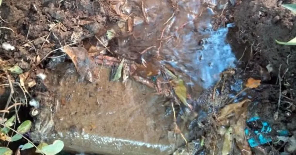 Denuncian que hay una pérdida de agua potable hace más de tres meses en un barrio de Viedma