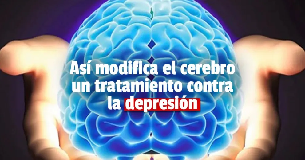 Descubrimiento: Así modifica el cerebro un tratamiento contra la depresión