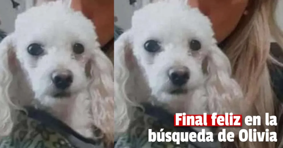 Final felíz en la búsqueda de Olivia