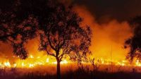 Corrientes: arrestan a un peón rural por el caso de los incendios