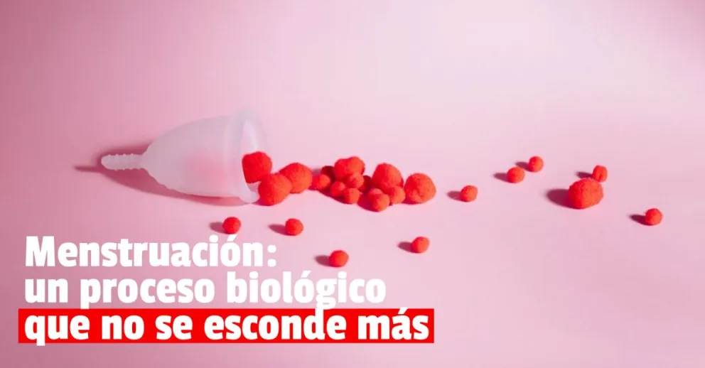 Día Mundial de la Salud Menstrual: la importancia de saber gestionarla