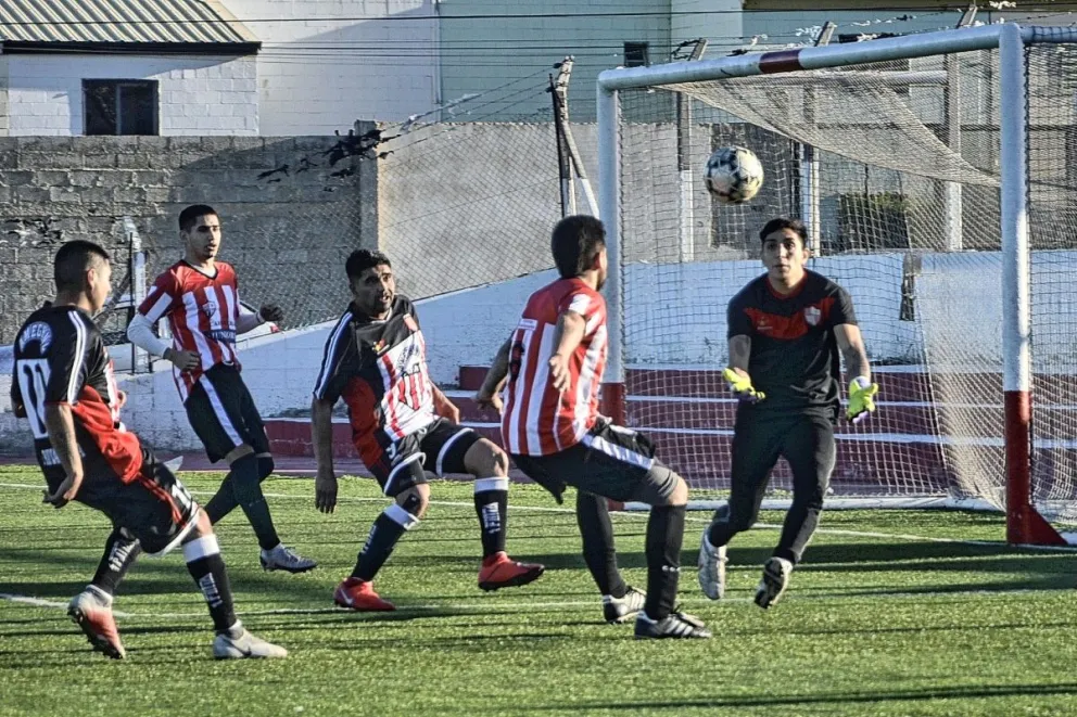 Ameghino se acercó a la punta