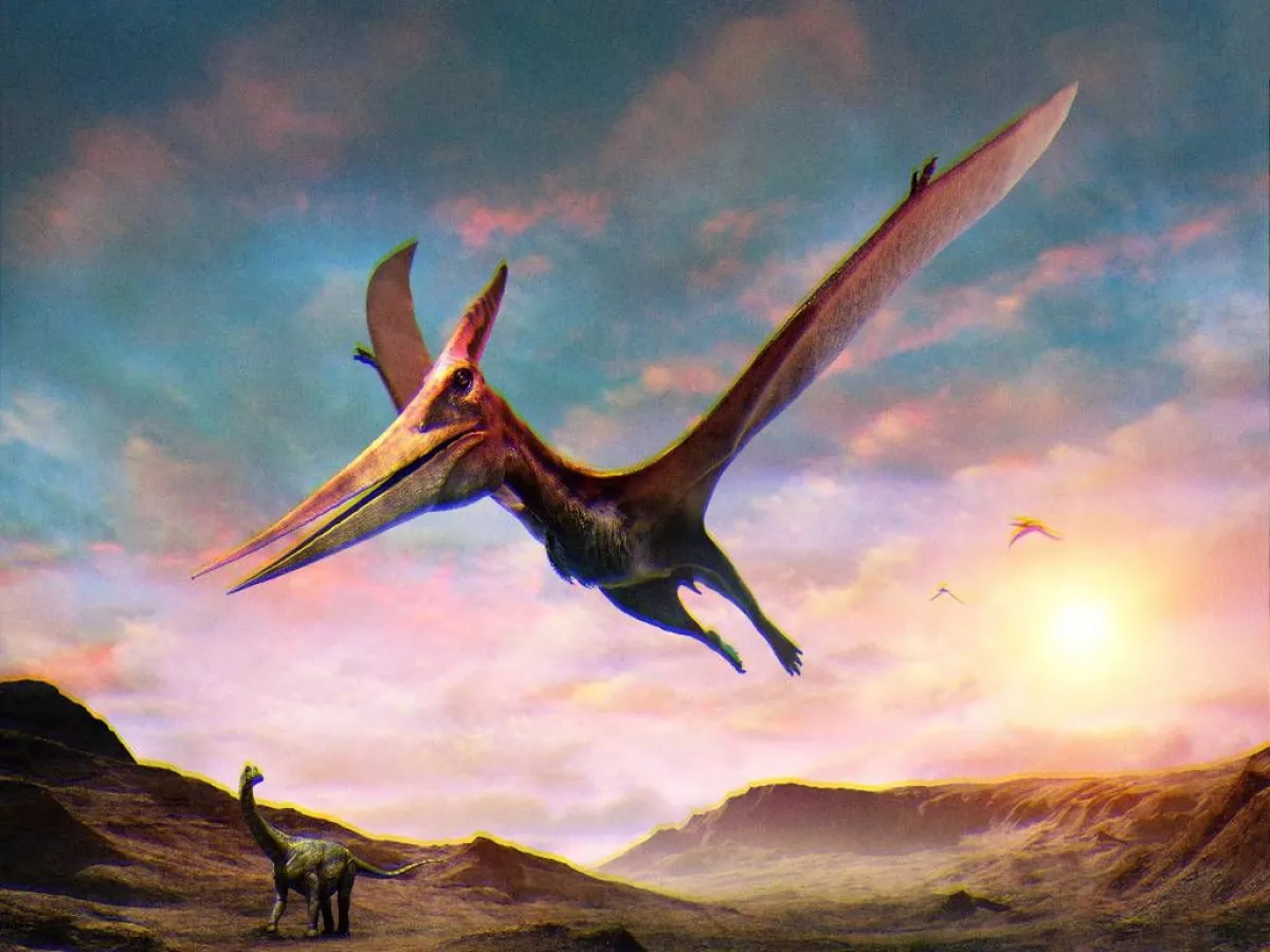 Se conoció al “Dragón de la Muerte”: el dinosaurio más grande de  Latinoamérica | Diario El Cordillerano