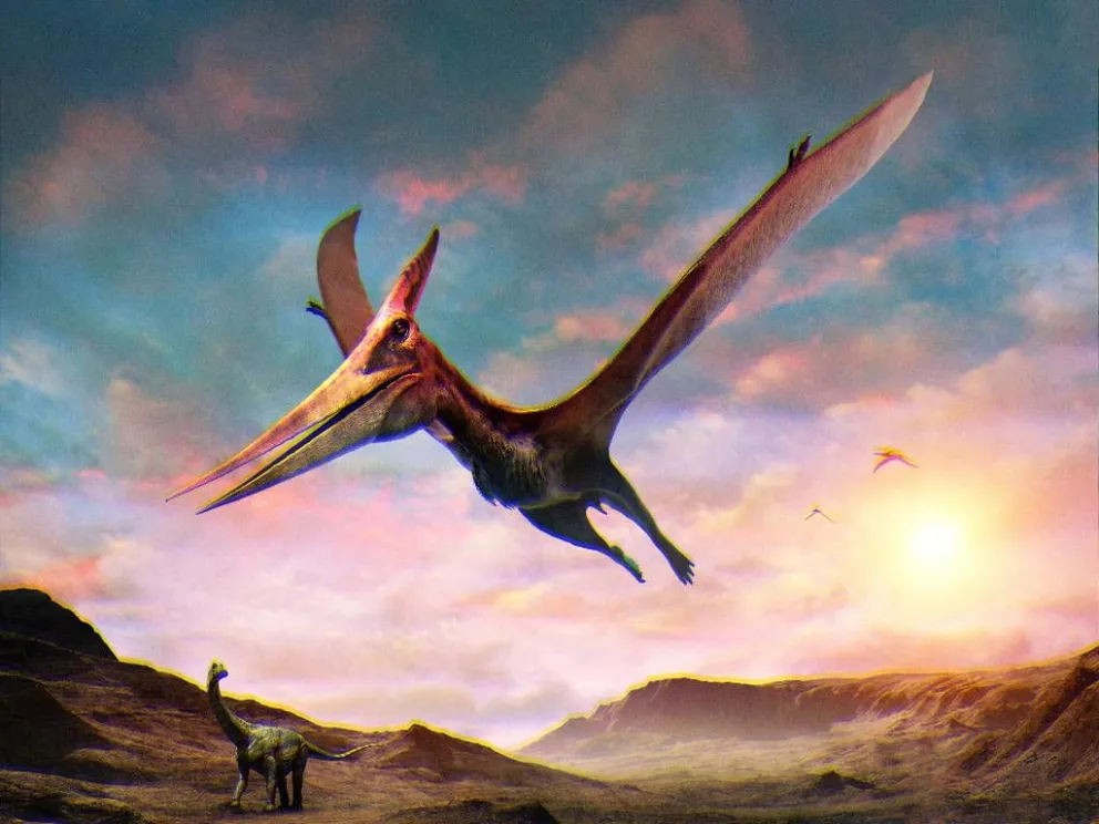 Se conoció al “Dragón de la Muerte”: el dinosaurio más grande de Latinoamérica