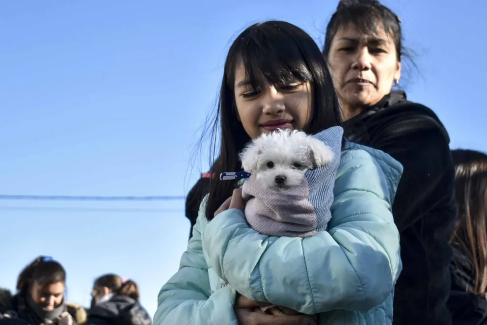 Ayudá a los animales y ganá premios de lujo con el bono de fin de año