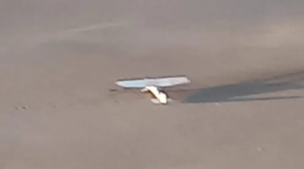 Desapareció un avión cerca de Choele Choel y apareció en ¡una laguna de La Pampa!