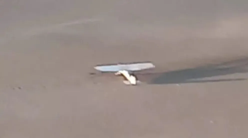 Desapareció un avión cerca de Choele Choel y apareció en una laguna de La Pampa