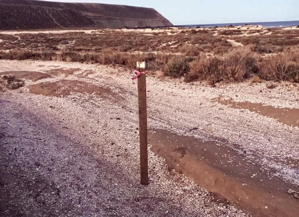 Vecinos autoconvocados alertan sobre la posible urbanización en marcha en playa Bajada de los Palitos