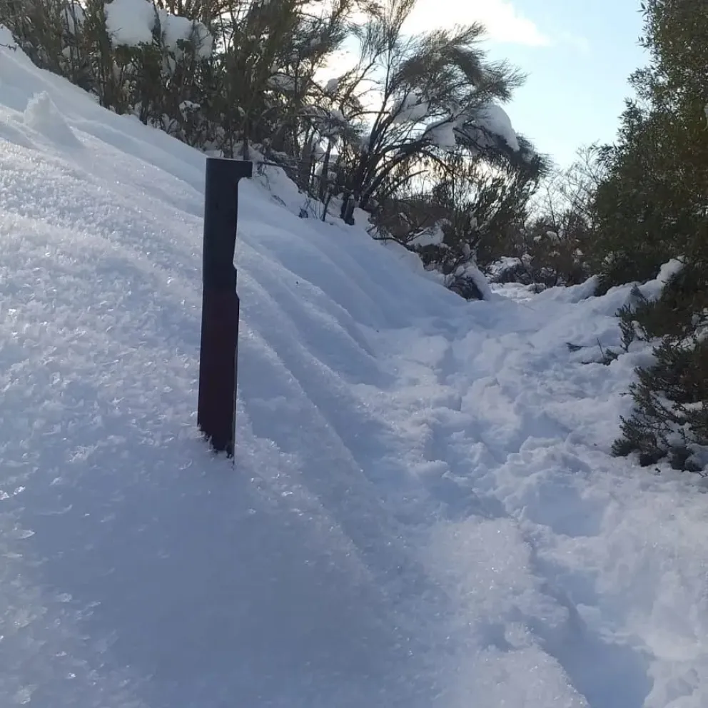  Visitantes tuvieron dificultades para llegar a la Cascada de los Duendes