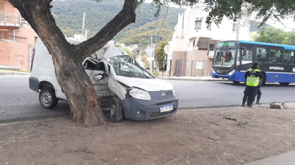 |VIDEO| ¡Terrible impacto! Una furgoneta se reventó contra un árbol 